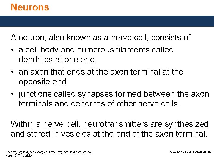 Neurons A neuron, also known as a nerve cell, consists of • a cell