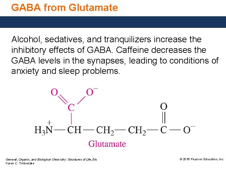 GABA from Glutamate Alcohol, sedatives, and tranquilizers increase the inhibitory effects of GABA. Caffeine