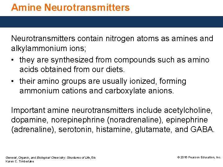 Amine Neurotransmitters contain nitrogen atoms as amines and alkylammonium ions; • they are synthesized