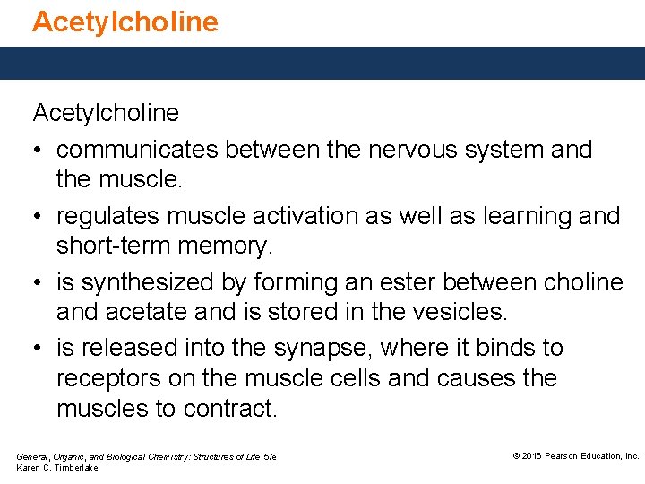 Acetylcholine • communicates between the nervous system and the muscle. • regulates muscle activation