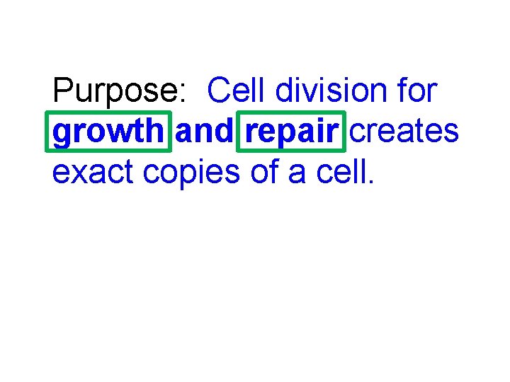 Purpose: Cell division for growth and repair creates exact copies of a cell. 