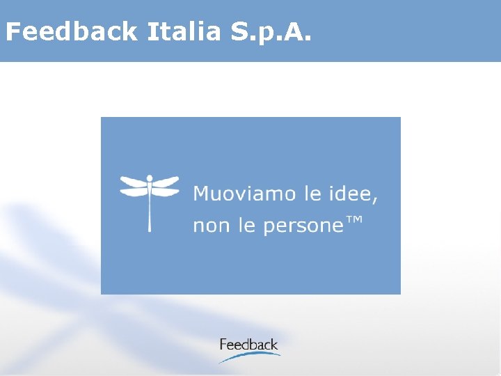 Feedback Italia S. p. A. 