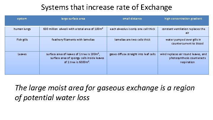 Systems that increase rate of Exchange system large surface area small distance high concentration