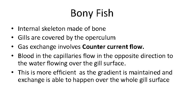 Bony Fish Internal skeleton made of bone Gills are covered by the operculum Gas