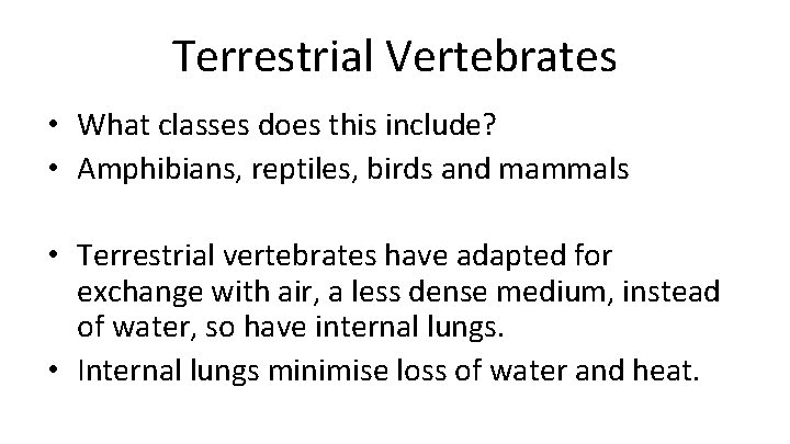 Terrestrial Vertebrates • What classes does this include? • Amphibians, reptiles, birds and mammals