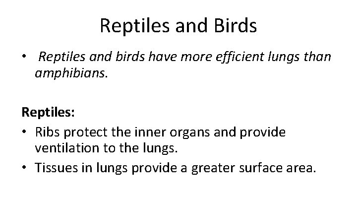Reptiles and Birds • Reptiles and birds have more efficient lungs than amphibians. Reptiles:
