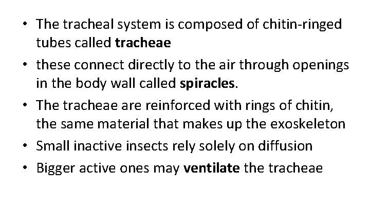  • The tracheal system is composed of chitin-ringed tubes called tracheae • these