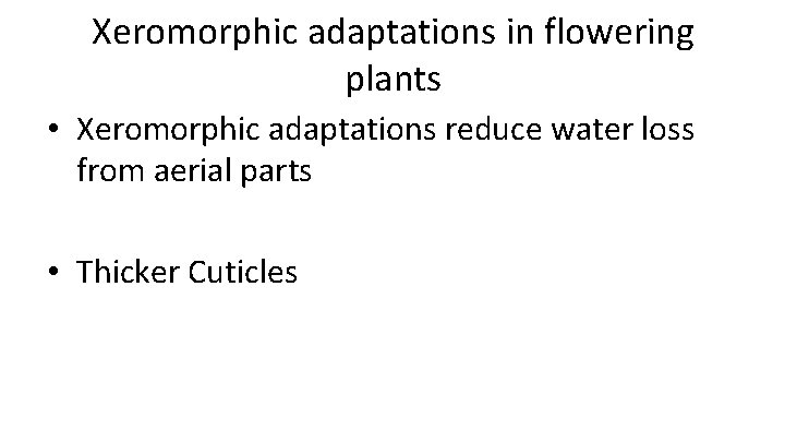 Xeromorphic adaptations in flowering plants • Xeromorphic adaptations reduce water loss from aerial parts