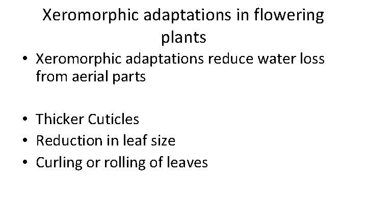 Xeromorphic adaptations in flowering plants • Xeromorphic adaptations reduce water loss from aerial parts