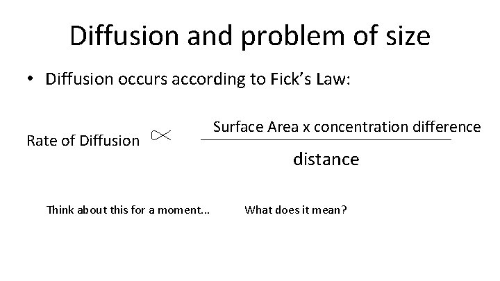 Diffusion and problem of size • Diffusion occurs according to Fick’s Law: Rate of