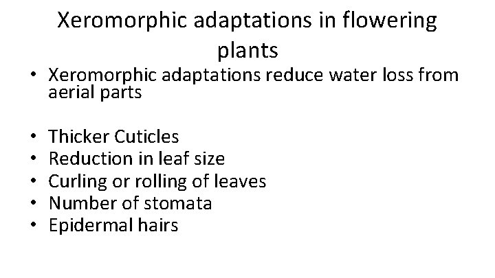 Xeromorphic adaptations in flowering plants • Xeromorphic adaptations reduce water loss from aerial parts