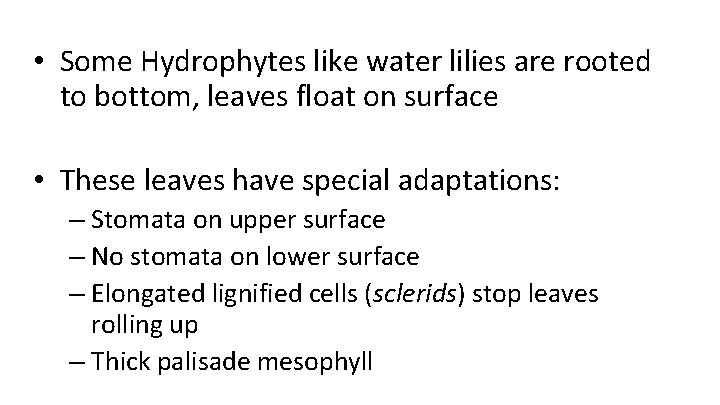  • Some Hydrophytes like water lilies are rooted to bottom, leaves float on