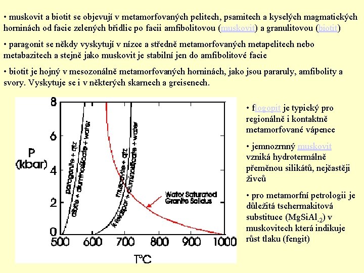  • muskovit a biotit se objevují v metamorfovaných pelitech, psamitech a kyselých magmatických