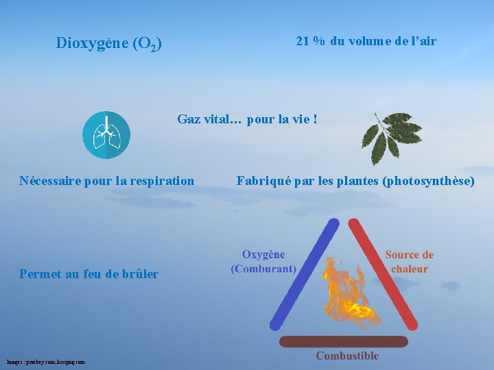 21 % du volume de l’air Dioxygène (O 2) Gaz vital… pour la vie