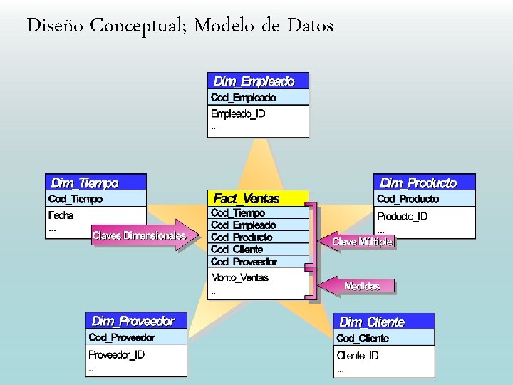 Diseño Conceptual; Modelo de Datos 