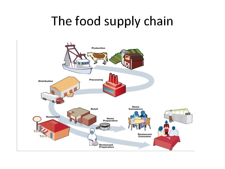 The food supply chain 