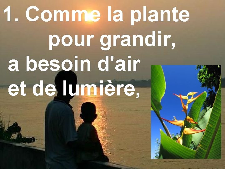 1. Comme la plante pour grandir, a besoin d'air et de lumière, 