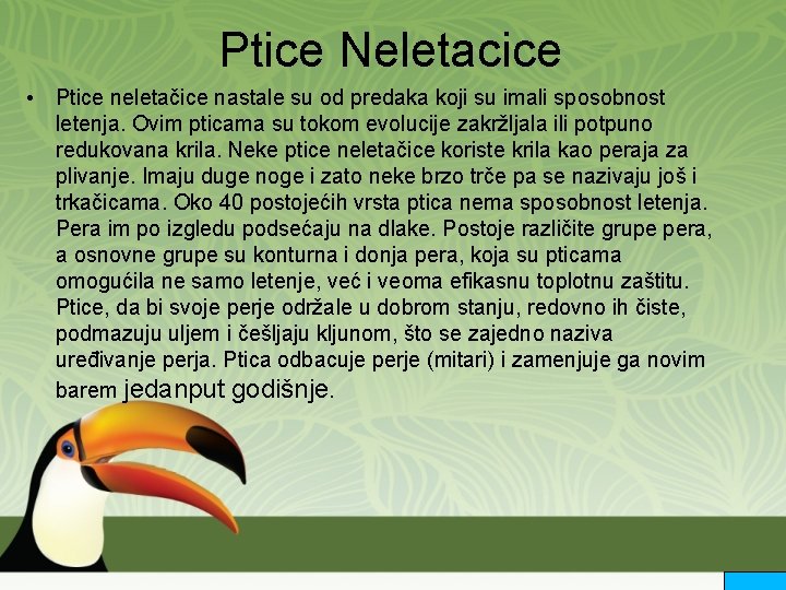 Ptice Neletacice • Ptice neletačice nastale su od predaka koji su imali sposobnost letenja.