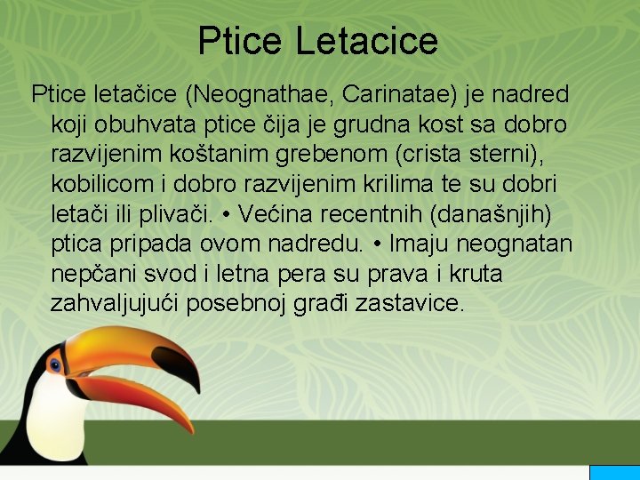 Ptice Letacice Ptice letačice (Neognathae, Carinatae) je nadred koji obuhvata ptice čija je grudna