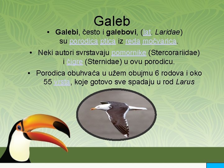 Galeb • Galebi, često i galebovi, (lat. Laridae) su porodica ptica iz reda močvarica.