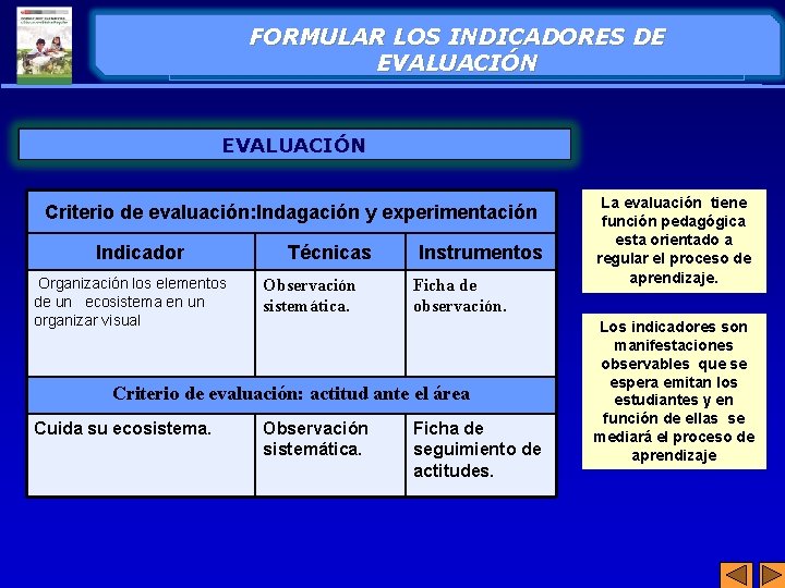  FORMULAR LOS INDICADORES DE EVALUACIÓN Criterio de evaluación: Indagación y experimentación Indicador Organización