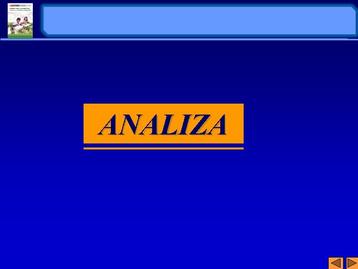 ANALIZA 