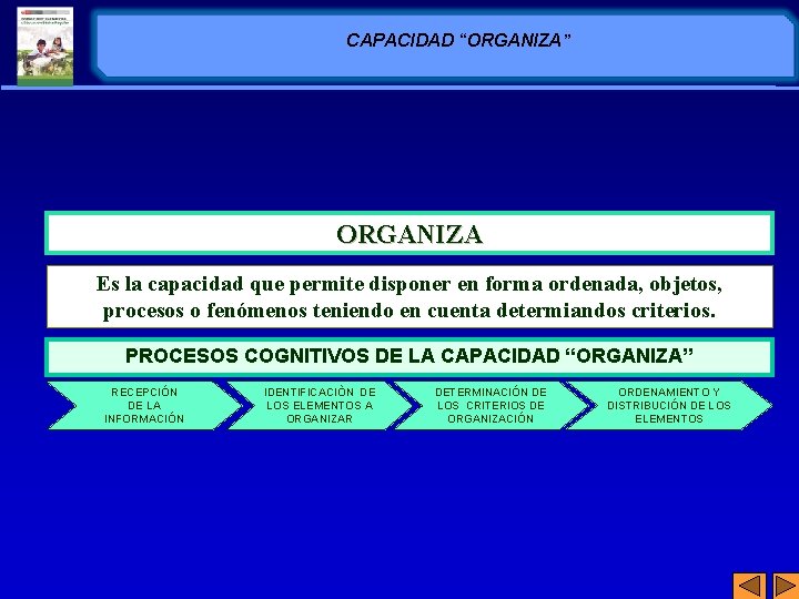 CAPACIDAD “ORGANIZA” ORGANIZA Es la capacidad que permite disponer en forma ordenada, objetos, procesos CAPACIDAD “ORGANIZA” ORGANIZA Es la capacidad que permite disponer en forma ordenada, objetos, procesos