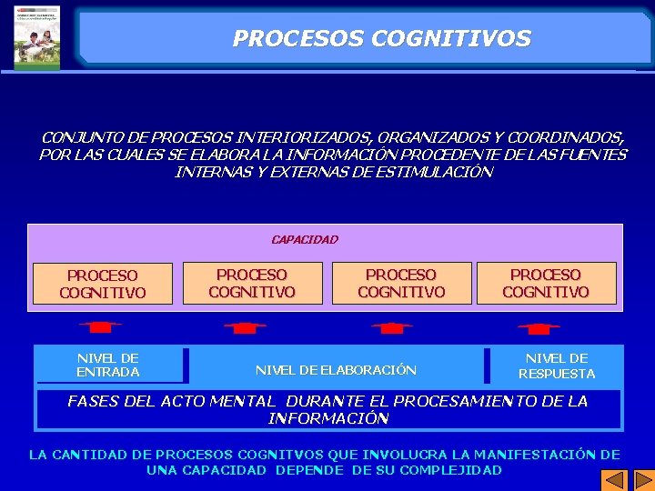 PROCESOS COGNITIVOS CONJUNTO DE PROCESOS INTERIORIZADOS, ORGANIZADOS Y COORDINADOS, POR LAS CUALES SE ELABORA PROCESOS COGNITIVOS CONJUNTO DE PROCESOS INTERIORIZADOS, ORGANIZADOS Y COORDINADOS, POR LAS CUALES SE ELABORA