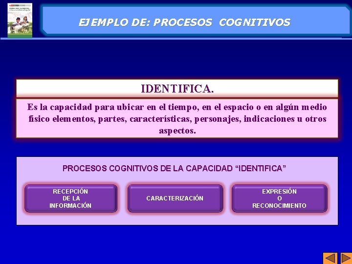 EJEMPLO DE: PROCESOS COGNITIVOS IDENTIFICA. Es la capacidad para ubicar en el tiempo, en