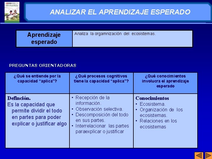 ANALIZAR EL APRENDIZAJE ESPERADO Aprendizaje esperado Analiza la orgamnización del ecosistemas. PREGUNTAS ORIENTADORAS ¿Qué