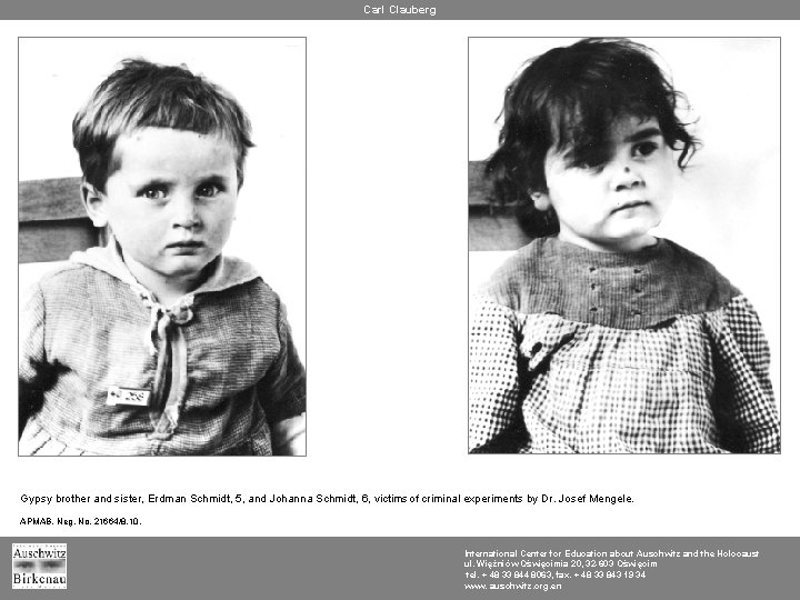 Carl Clauberg Gypsy brother and sister, Erdman Schmidt, 5, and Johanna Schmidt, 6, victims