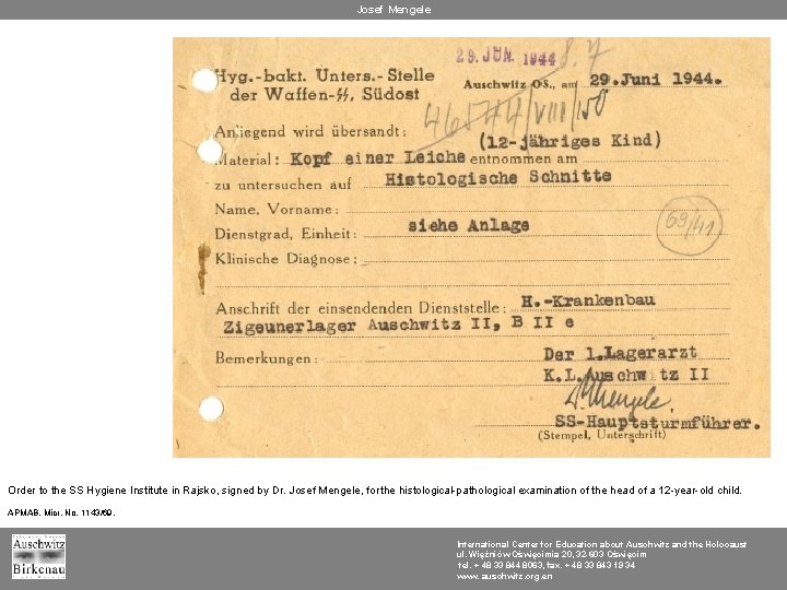 Josef Mengele Order to the SS Hygiene Institute in Rajsko, signed by Dr. Josef