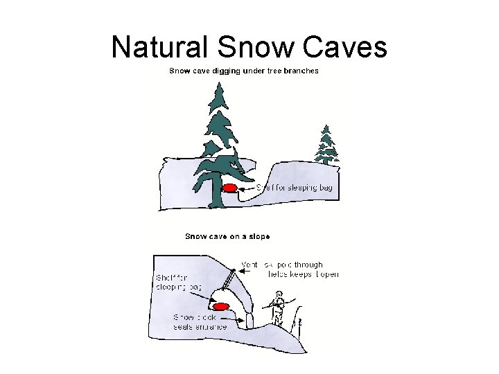 Natural Snow Caves 