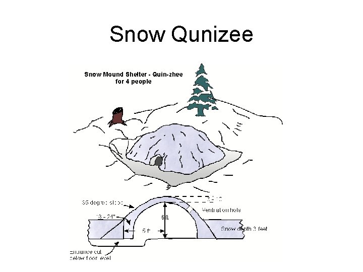 Snow Qunizee 