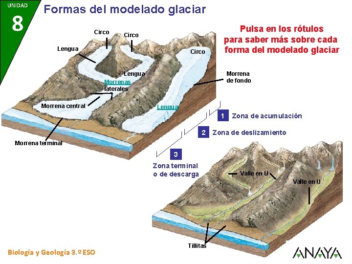 UNIDAD 8 Formas del modelado glaciar Circo Lengua Circo Pulsa en los rótulos para