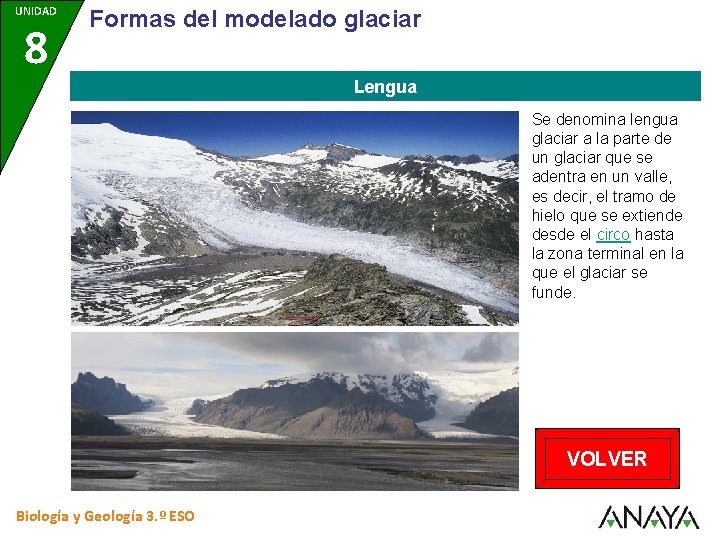 UNIDAD 8 Formas del modelado glaciar Lengua Se denomina lengua glaciar a la parte