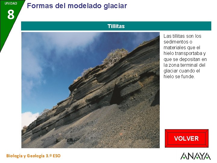 UNIDAD 8 Formas del modelado glaciar Tillitas Las tillitas son los sedimentos o materiales