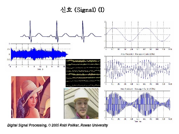 신호 (Signal) (I) 