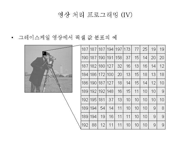 영상 처리 프로그래밍 (IV) • 그레이스케일 영상에서 픽셀 값 분포의 예 187 187 194