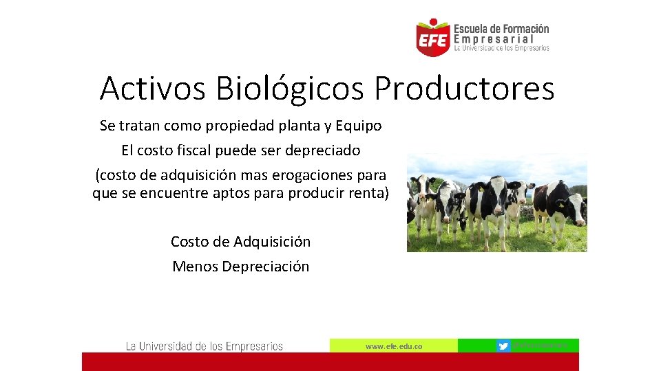 Activos Biológicos Productores Se tratan como propiedad planta y Equipo El costo fiscal puede