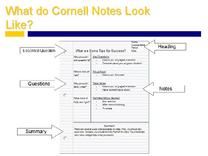 What do Cornell Notes Look Like? 