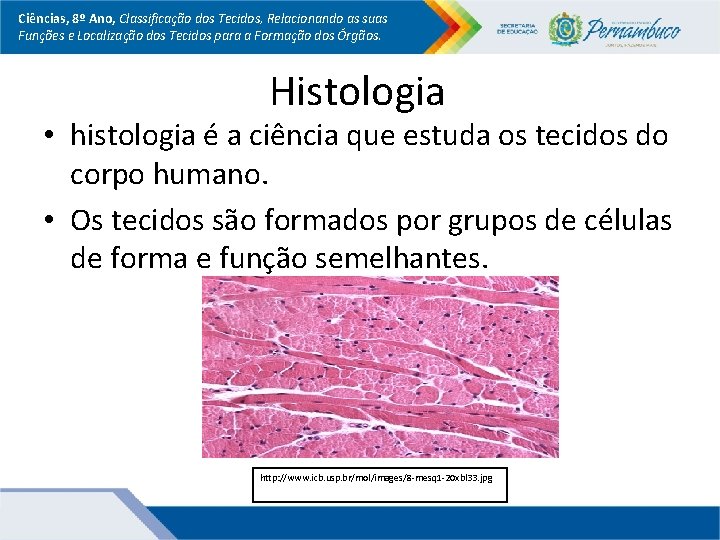 Ciências, 8º Ano, Classificação dos Tecidos, Relacionando as suas Funções e Localização dos Tecidos Ciências, 8º Ano, Classificação dos Tecidos, Relacionando as suas Funções e Localização dos Tecidos
