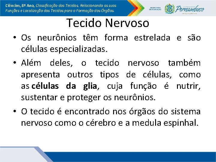 Ciências, 8º Ano, Classificação dos Tecidos, Relacionando as suas Funções e Localização dos Tecidos Ciências, 8º Ano, Classificação dos Tecidos, Relacionando as suas Funções e Localização dos Tecidos