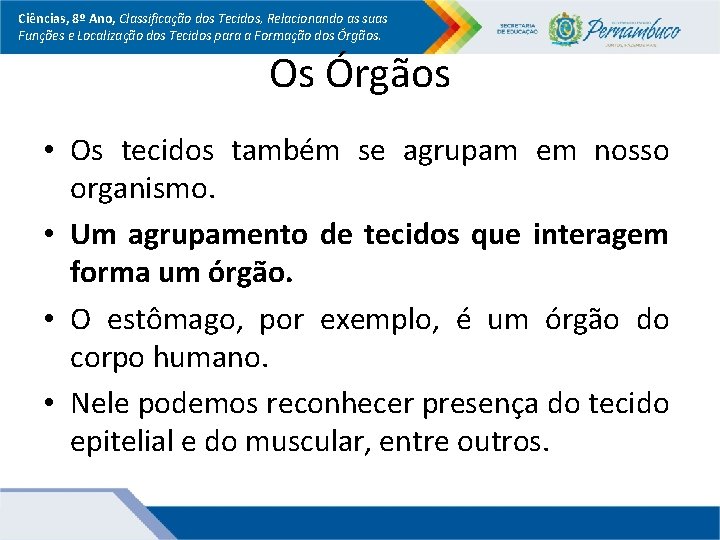 Ciências, 8º Ano, Classificação dos Tecidos, Relacionando as suas Funções e Localização dos Tecidos Ciências, 8º Ano, Classificação dos Tecidos, Relacionando as suas Funções e Localização dos Tecidos