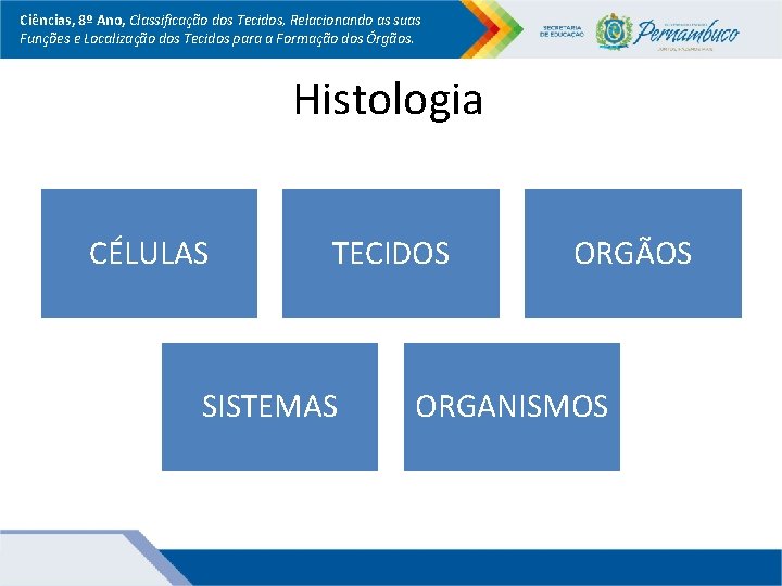 Ciências, 8º Ano, Classificação dos Tecidos, Relacionando as suas Funções e Localização dos Tecidos Ciências, 8º Ano, Classificação dos Tecidos, Relacionando as suas Funções e Localização dos Tecidos