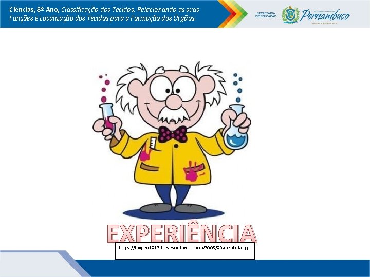 Ciências, 8º Ano, Classificação dos Tecidos, Relacionando as suas Funções e Localização dos Tecidos Ciências, 8º Ano, Classificação dos Tecidos, Relacionando as suas Funções e Localização dos Tecidos