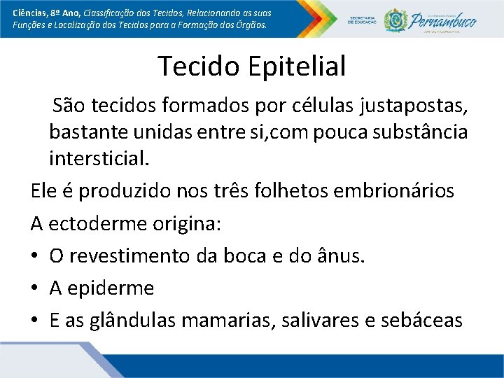 Ciências, 8º Ano, Classificação dos Tecidos, Relacionando as suas Funções e Localização dos Tecidos Ciências, 8º Ano, Classificação dos Tecidos, Relacionando as suas Funções e Localização dos Tecidos