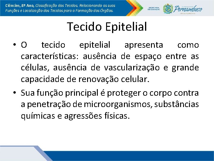 Ciências, 8º Ano, Classificação dos Tecidos, Relacionando as suas Funções e Localização dos Tecidos Ciências, 8º Ano, Classificação dos Tecidos, Relacionando as suas Funções e Localização dos Tecidos
