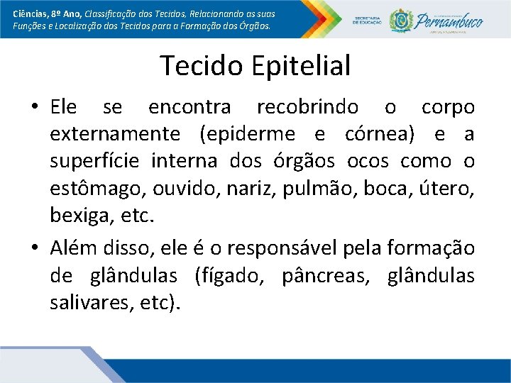 Ciências, 8º Ano, Classificação dos Tecidos, Relacionando as suas Funções e Localização dos Tecidos Ciências, 8º Ano, Classificação dos Tecidos, Relacionando as suas Funções e Localização dos Tecidos