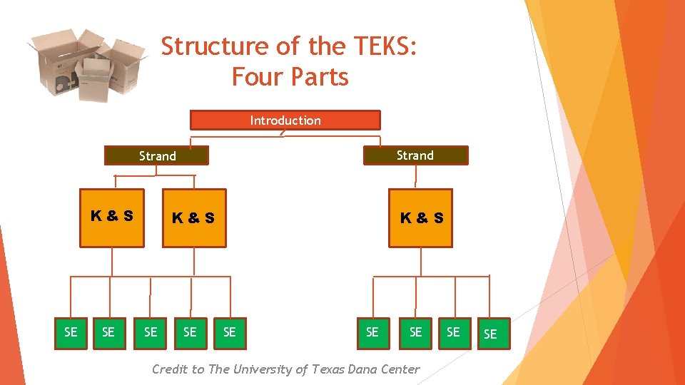 Structure of the TEKS: Four Parts Introduction Strand K&S SE SE SE Credit to
